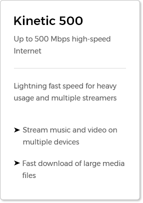 Kinetic 500: up to 500 Mbps High-speed Internet